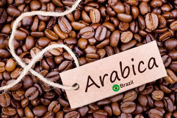 دان قهوه عربیکا برزیل
