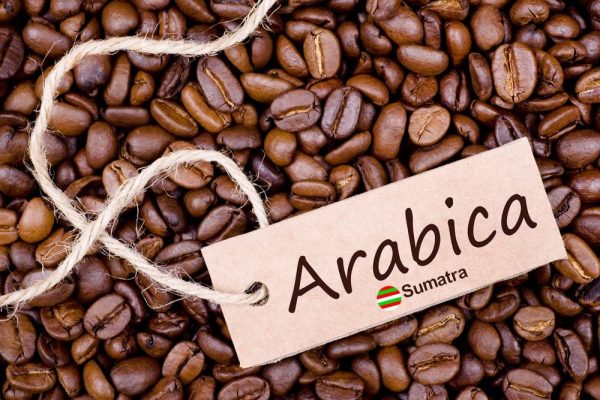 دان قهوه عربیکا سوماترا